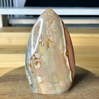 Image 3 of Polychrome Jasper Flame (26A)