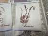 Wildlife and Flora Kits 1-3