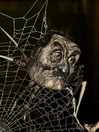 Image 1 of 1800s Gustave Dore Spiders - with real preserved webs -D