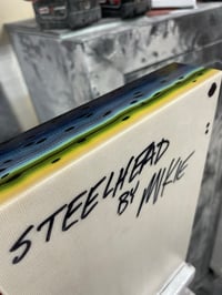 Image 2 of Steelhead by Mikie