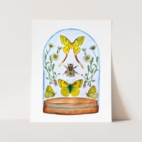 Image 5 of Insect Art Print April Dome, Under Glass Collection copy