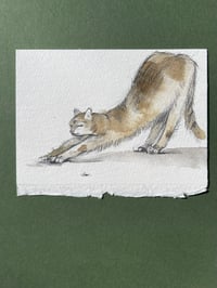 Image 2 of Yoga - Kitty Cat Study