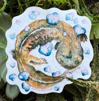 Image 2 of Hellbender Sticker