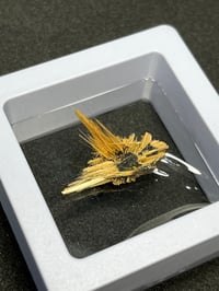 Image 4 of Golden Rutile & Hematite Star Specimen #2203