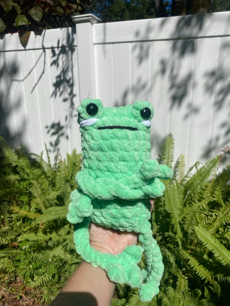 Image of Big Leggy Froggy