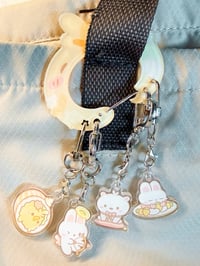 Image 2 of Dachi Trio Carabiners