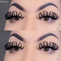 Bloom Lashes