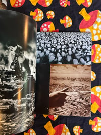 Image 8 of Kimura Camera - Tsunehisa Kimura's Visual Scandal, 1980