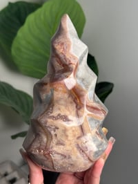 Image 2 of XL PASTEL SEA JASPER FLAME -MADAGASCAR- A