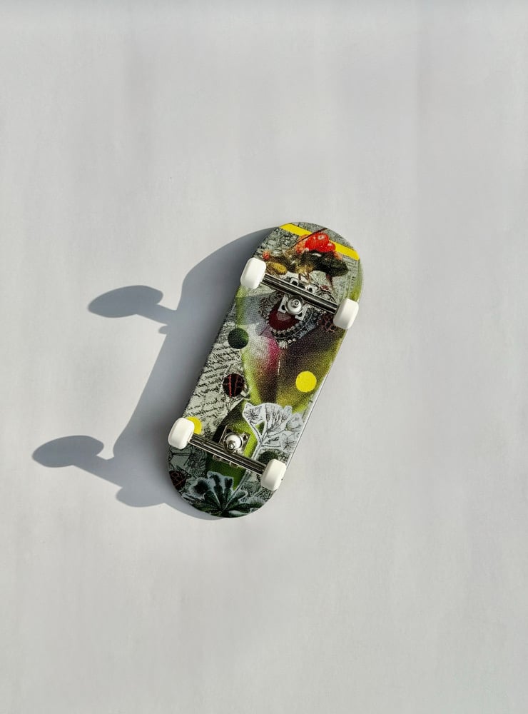 Image of Venus Flytrap complete