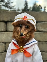 Image 1 of Captain Coward 