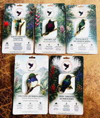 Image 1 of Hummingbirds of Costa Rica Pin Badges