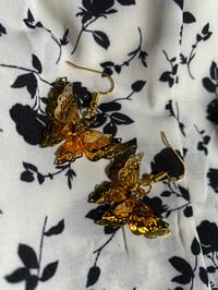 Image 1 of Butterfly babes 