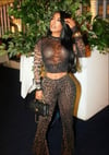 Safari Mesh Set