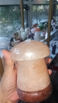 Himalayan salt mushroom lamp