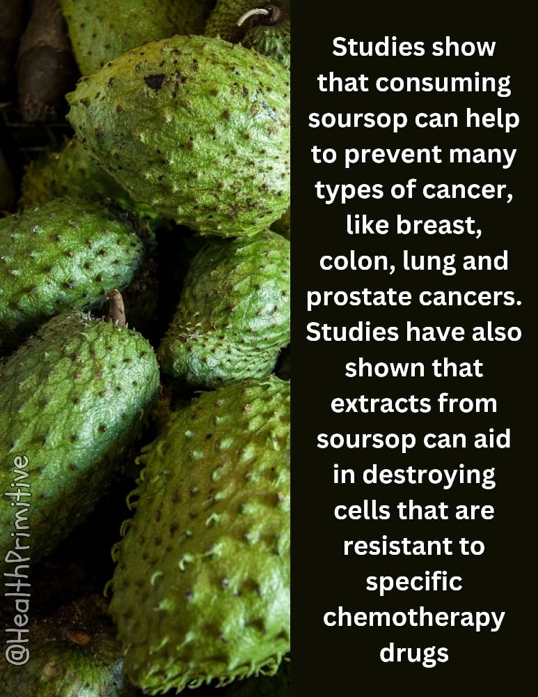 Wild Soursop Leaves/Fruit Powder. Pain-Stress-Immunity-Insomnia-Parasites-Bone-Chemo-Fibromyalgia