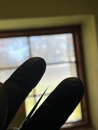 Image 5 of #7 Mono Gyuto