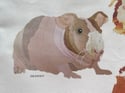 Rocket & Co. - Guinea Pig Breeds tea towel