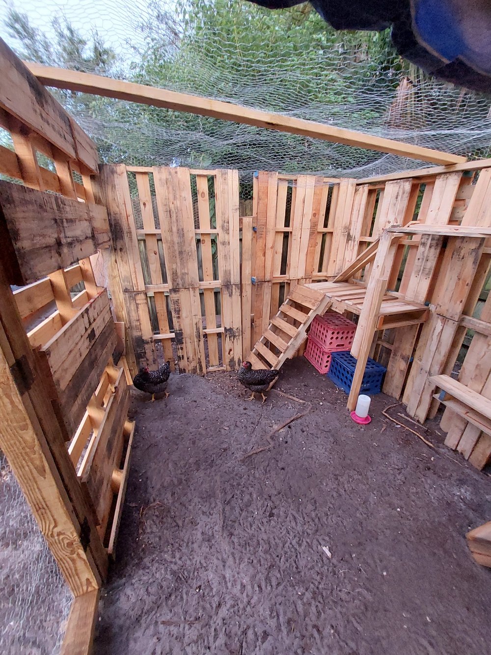 Image of Chicken Coop