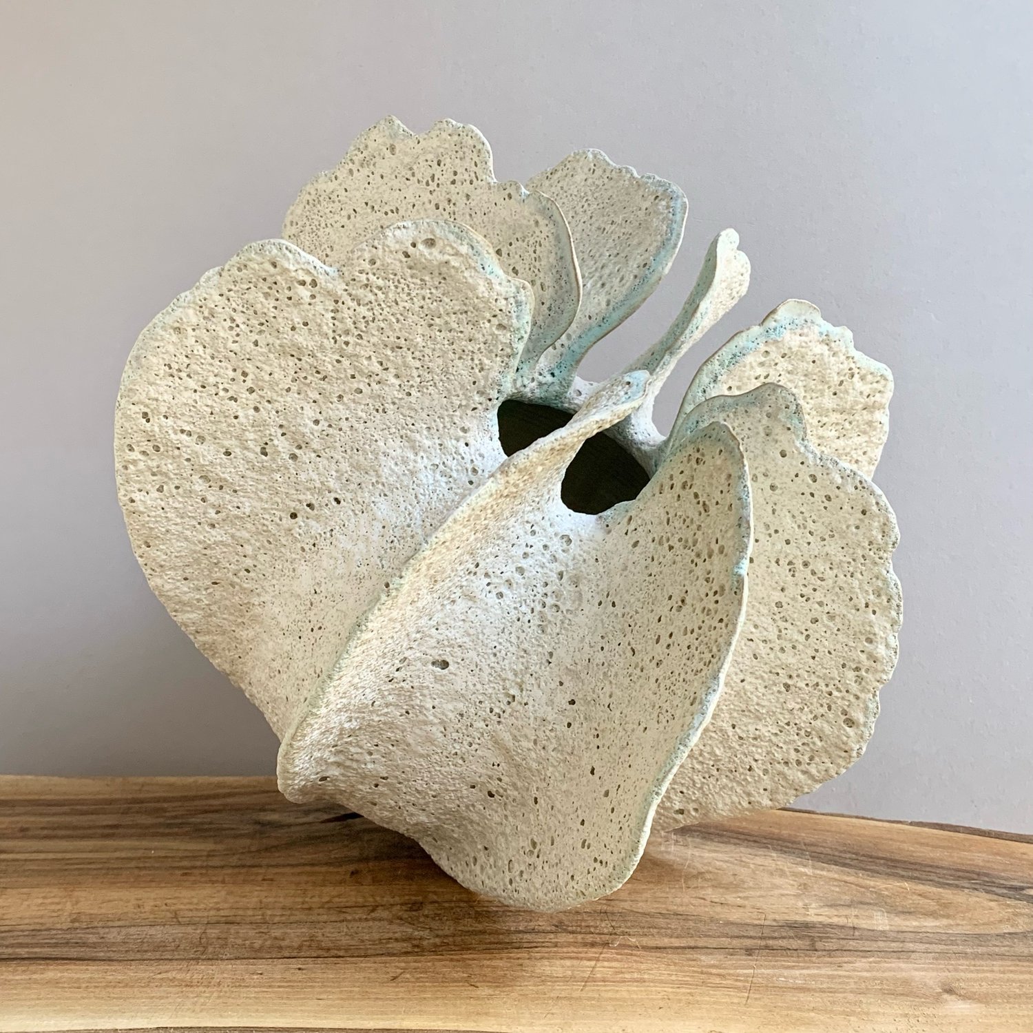 Image of Seaflower 2