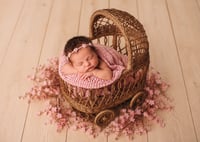 Image 13 of Heirloom Pram 
