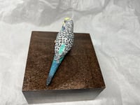 Image 12 of Custom Engraved Budgie Parakeet Handpainted To Your Photos Bird Mini Keepsake Urn Pet Portrait