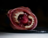 Image 7 of Void Scream Relic Pendant - 1.5" handmade   OOAK