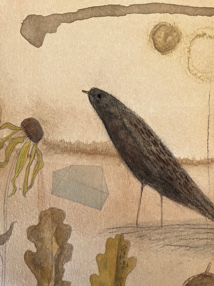 Image of Blackbird in Autumn 