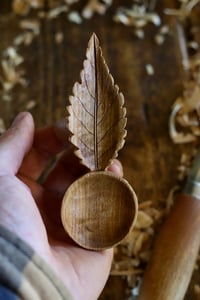 Image 5 of Cherry Leaf Scoop