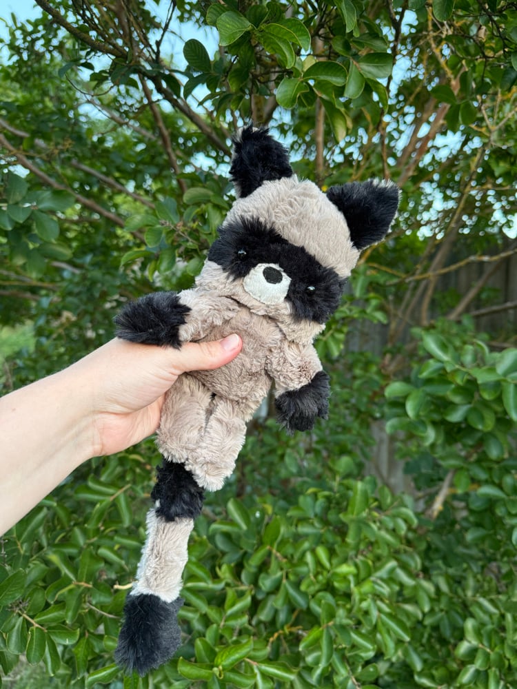 Image of PREORDER floppy raccoon 