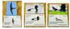 July 2022 UK Birding Pins Releases