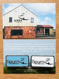 Image 3 of Spurn Bird Observatory/Migfest