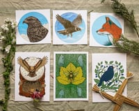 Image 1 of Wild Growth Print Pack