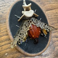 Image 1 of Vertebrae pumpkin beetle (a, 4x5 inches) 