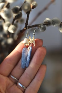 Image 2 of Orecchini Vertebre di mustelide e Kyanite