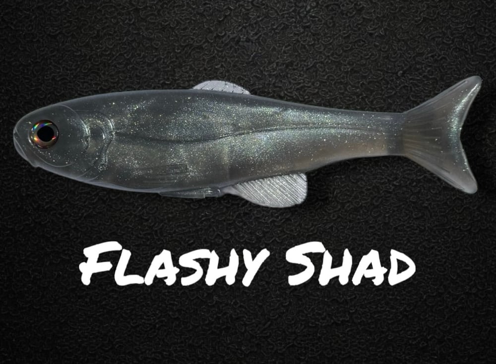 Roma Trout - Flashy Shad - Image 5