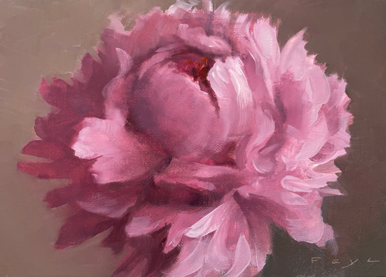 Pink Peony 