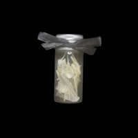 tilapia bones medium jar