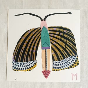 Image of square collage / insectes 