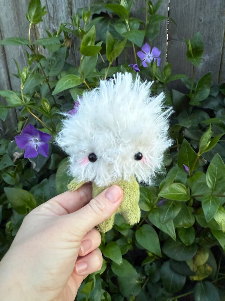 Image of baby dandelion PREORDER