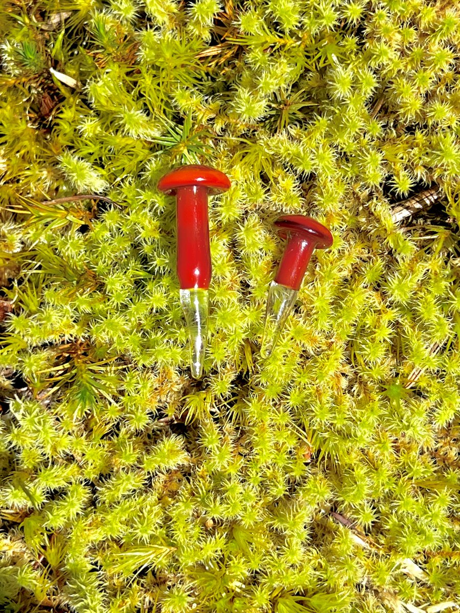 Image of 2 Red Mushroom Plant Spike