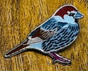 Spanish Sparrow - No.108 - UK Birding Pins - Enamel Pin Badge