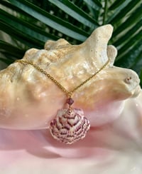 Image 2 of Scallop Shell Necklace N175