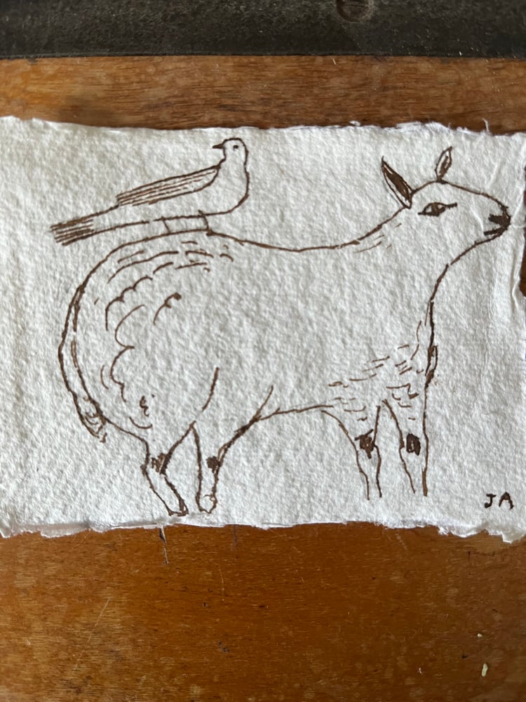 Image of Sheep and bird companion. 