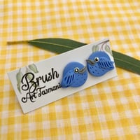 Bluebird Studs