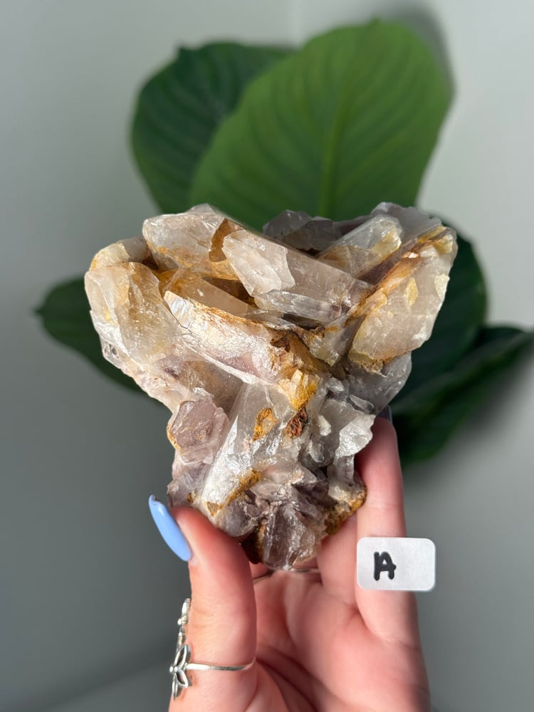 Image of product reviewed