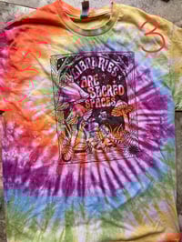 Image 4 of Misprints