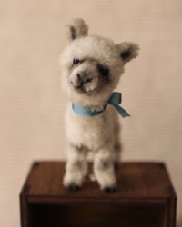 Image 2 of pipe cleaner Cloud the alpaca