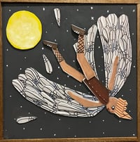 Image 1 of Icarus