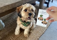Image 1 of Your Pet - Custom Earrings